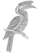 Neeti-Bird-Hornbill