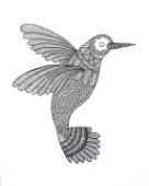Neeti-Bird-HummingBird