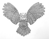 Neeti-Bird-Owl3