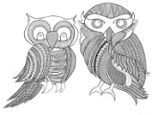 Neeti-Bird-Owls