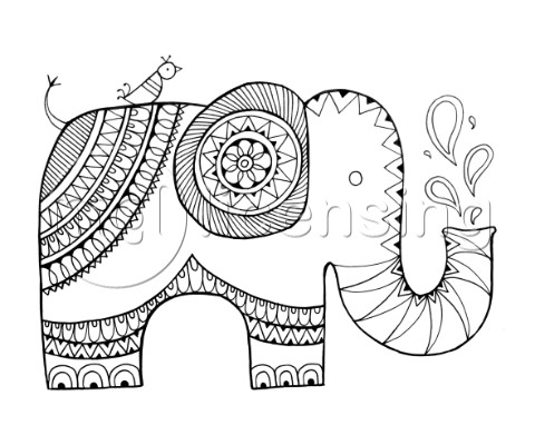 Animal Elephant 3