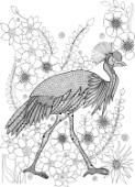 Neeti-Garden-Crowned Crane