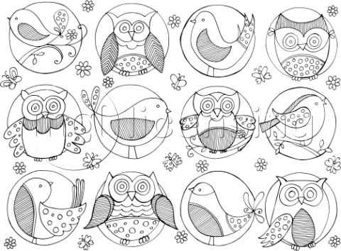 NeetiPatternBirds and Owls in Circle