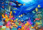 Undersea Wonders