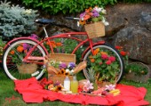 1673-Red Bicycle-Picnic