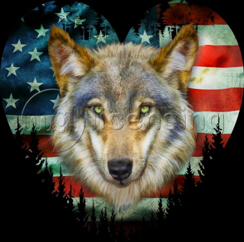 USA Wolf variant 1