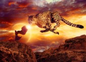 Cheetah flies through the sky following a beautiful woman of the desert