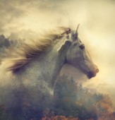 White Horse_Forest_Wildfire_Faded (Variant 1)