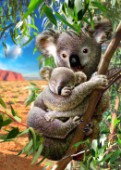 Koala and cub