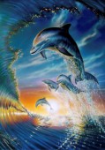 Leaping dolphins