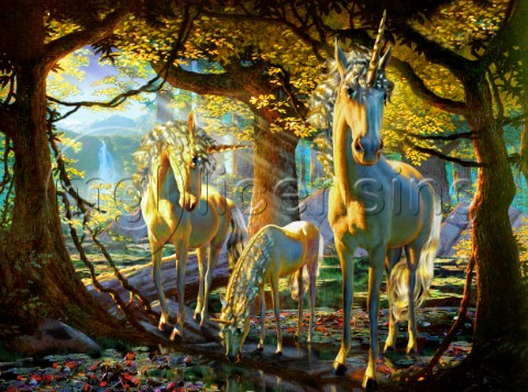 Unicorn forest
