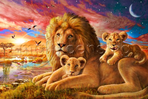 Lion Sunrise