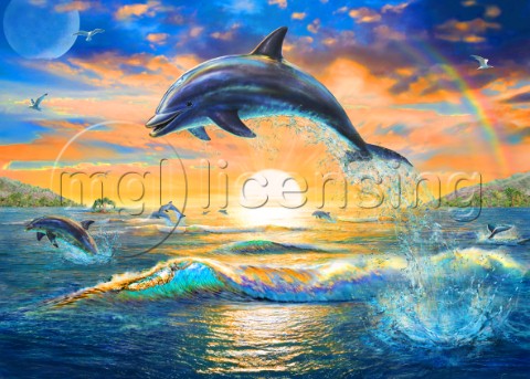 Dolphin Sunrise