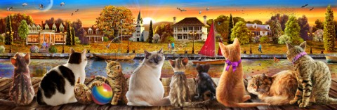 Cats on the Quay Panoramic