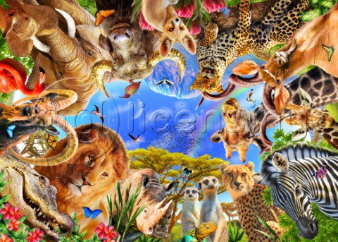 360o African Animals