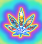 Cannabis Leaf Planets (variant 1)