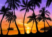 Palm beach sundown
