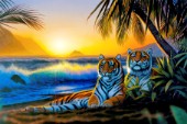 Tropical tigers