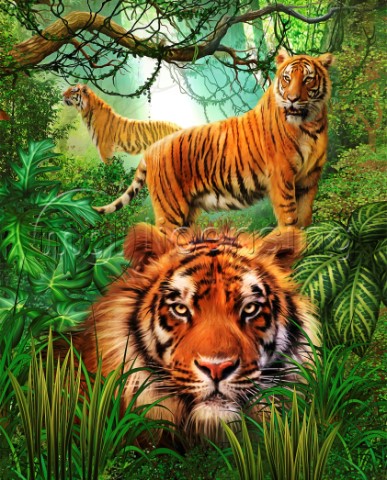 Tiger Green Jungle