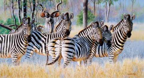 Zebra and kudu NPI 0136