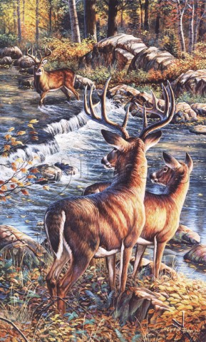 Deer creek crossing NPI 807