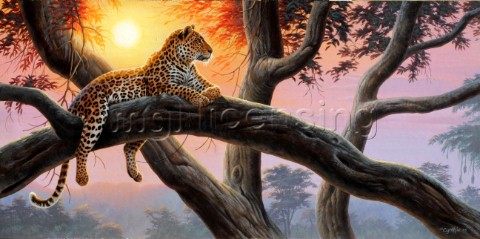 Evening watch leopard NPI 21490076