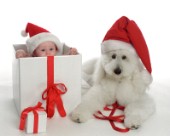Christmas Baby and Dog.jpg