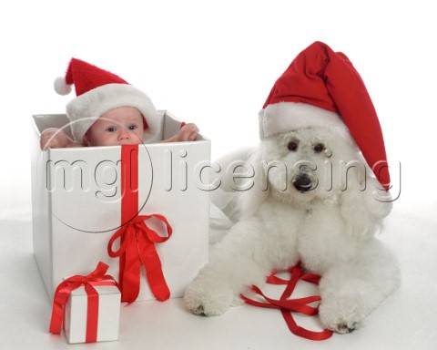 Christmas Baby and Dogjpg