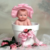 Cheeky Baby in Pot.jpg