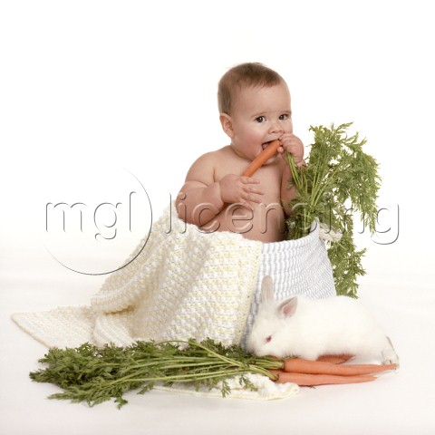 Bunny Likes Carrotsjpg