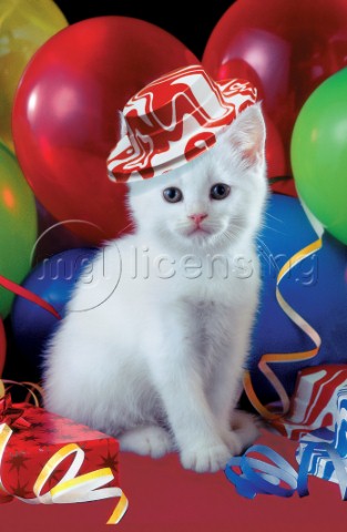 Cat with balloons A122
