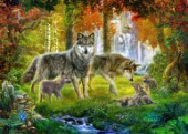 Summer Wolf Family