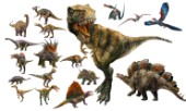 18 individual dinosaurs