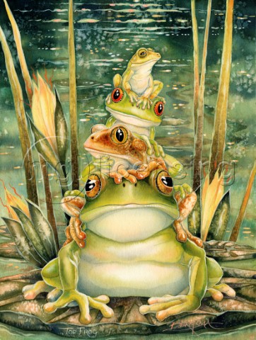 Top frog 749