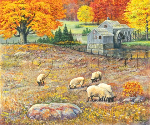Autumn pasture  sheep