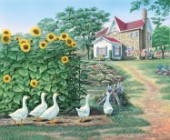 Garden path - geese and sunflowers