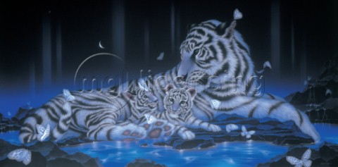Mother and children  white tiger