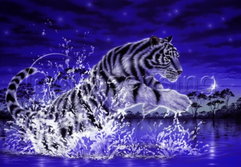 Power of life  white tiger