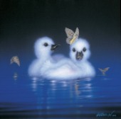 White angels - swan