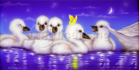 White angels  swan