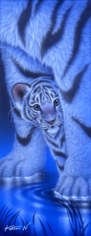 Shy white tiger II