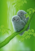 Always Together-Owl