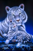 White Tiger - My Son