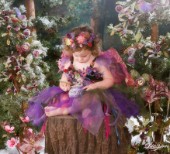 Sugar plum fairy