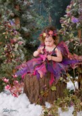 Sugar plum fairy