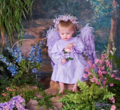 Lavender angel
