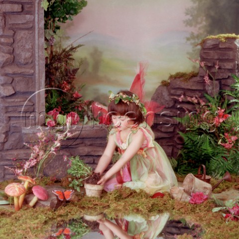 Fairy planting