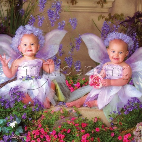 Lavender twins