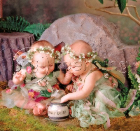 Fairy dust twins
