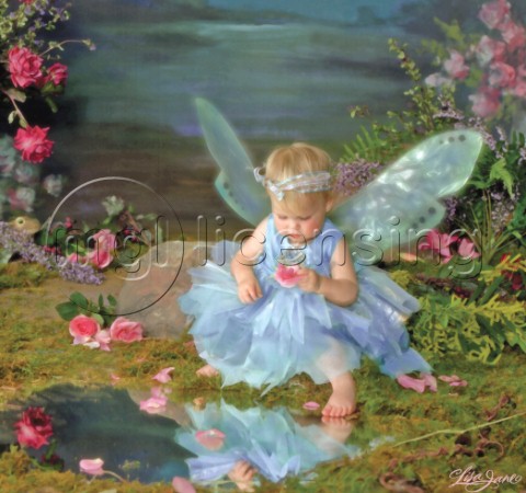 Primrose fairy